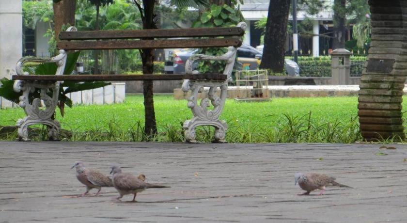 Hotel City Villa Jakarta