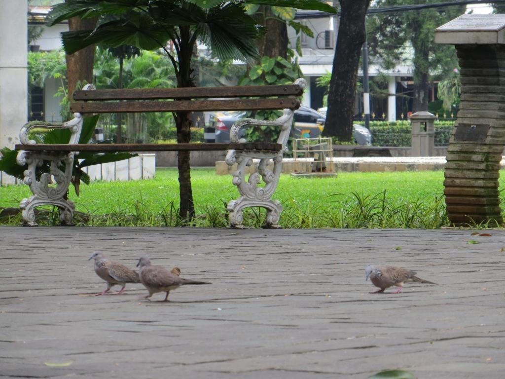 City Villa Jakarta